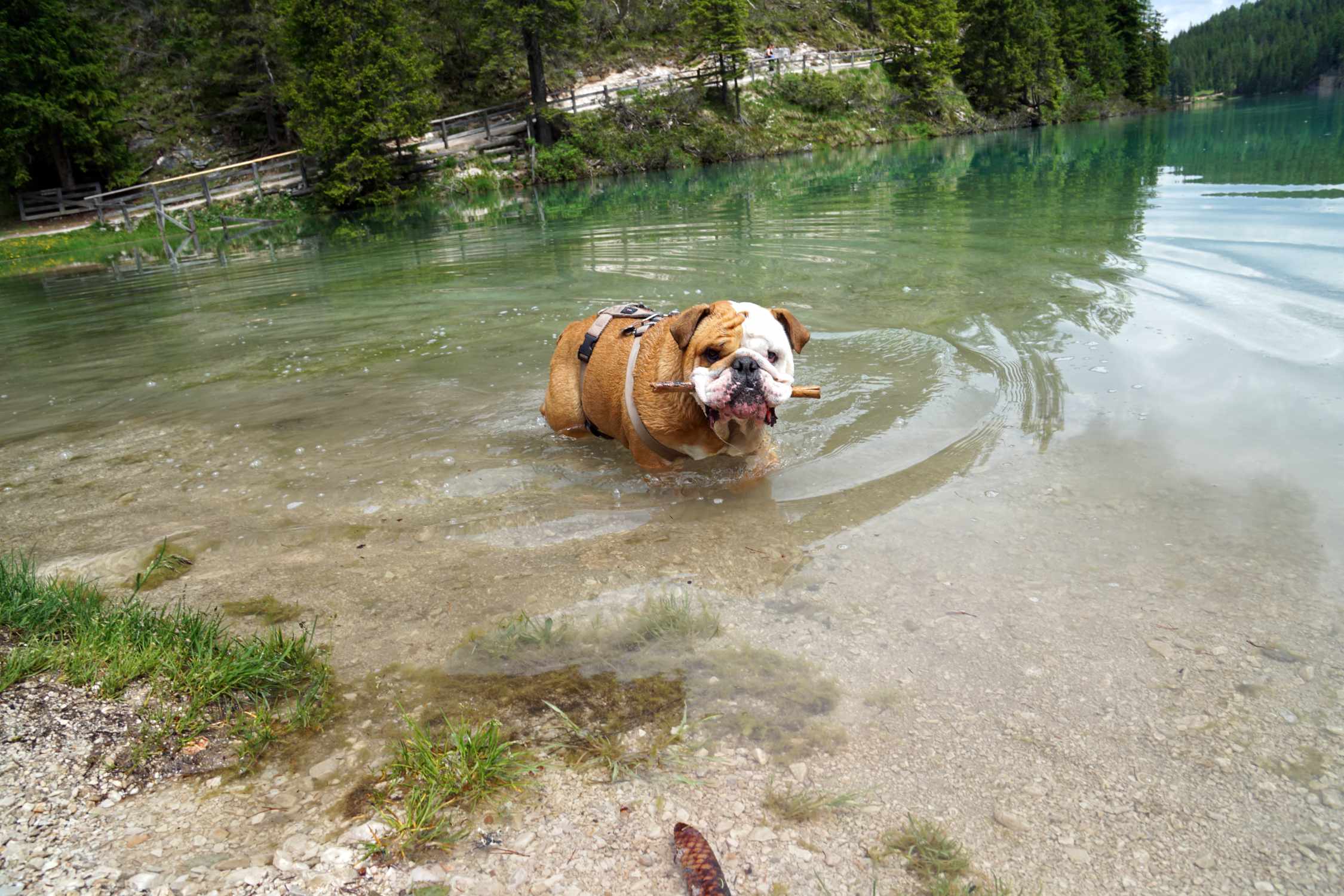 Wandern mit Jacky